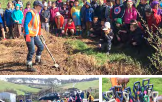 Rotary Trees for Survival - Update