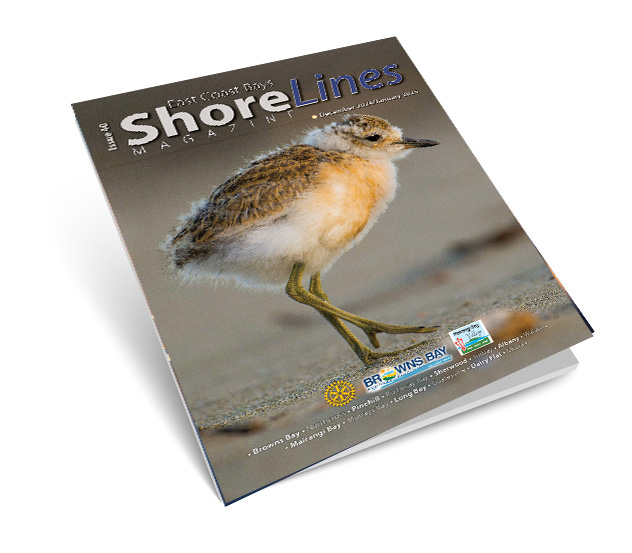 shorelines dec 2024